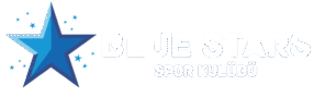 bs_logo2